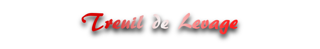 treuil de levage (vente, location, installation, entretien et réparation SAV)